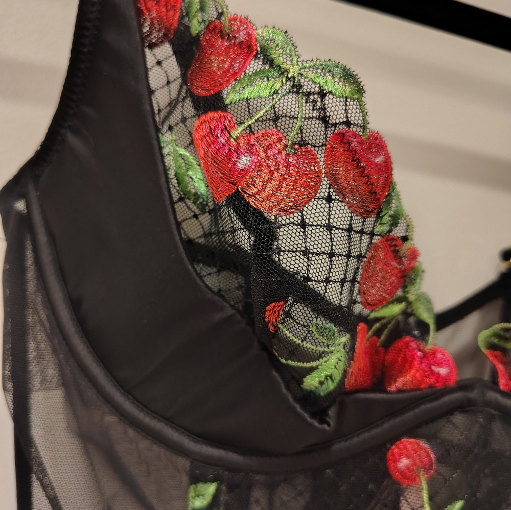 Victoria's Secret Lightly lined Cherry Corset 34C - Picture 3 of 5